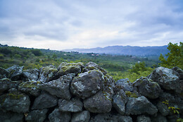 Etnella wines