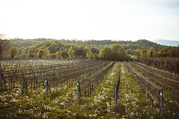 Podere dei Folli