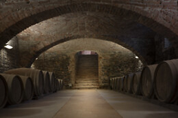 CANTINE LUZI DONADEI FABIANI