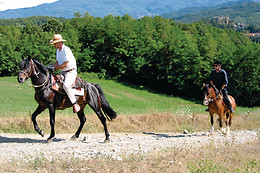 Agriturismo Carovane