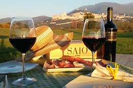 Saio Assisi