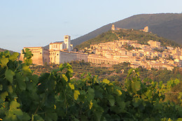 Saio Assisi