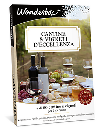 Cantine e vigneti d'eccellenza