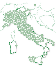 3 giorni tra incanto e delizie