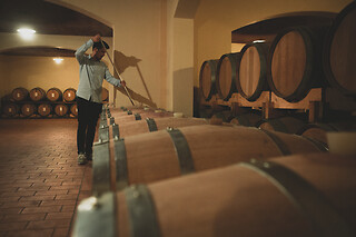 Vini & cantine d'Italia