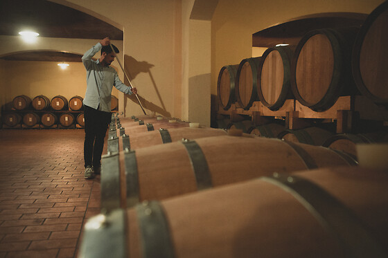 Vini & cantine d'Italia