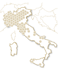 Vini & cantine d'Italia