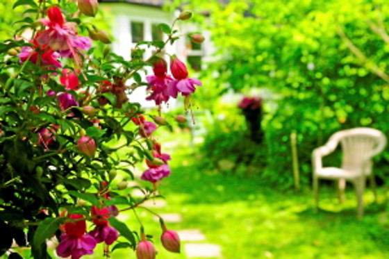 Agriturismo Cascina Zenevrea - photo 8